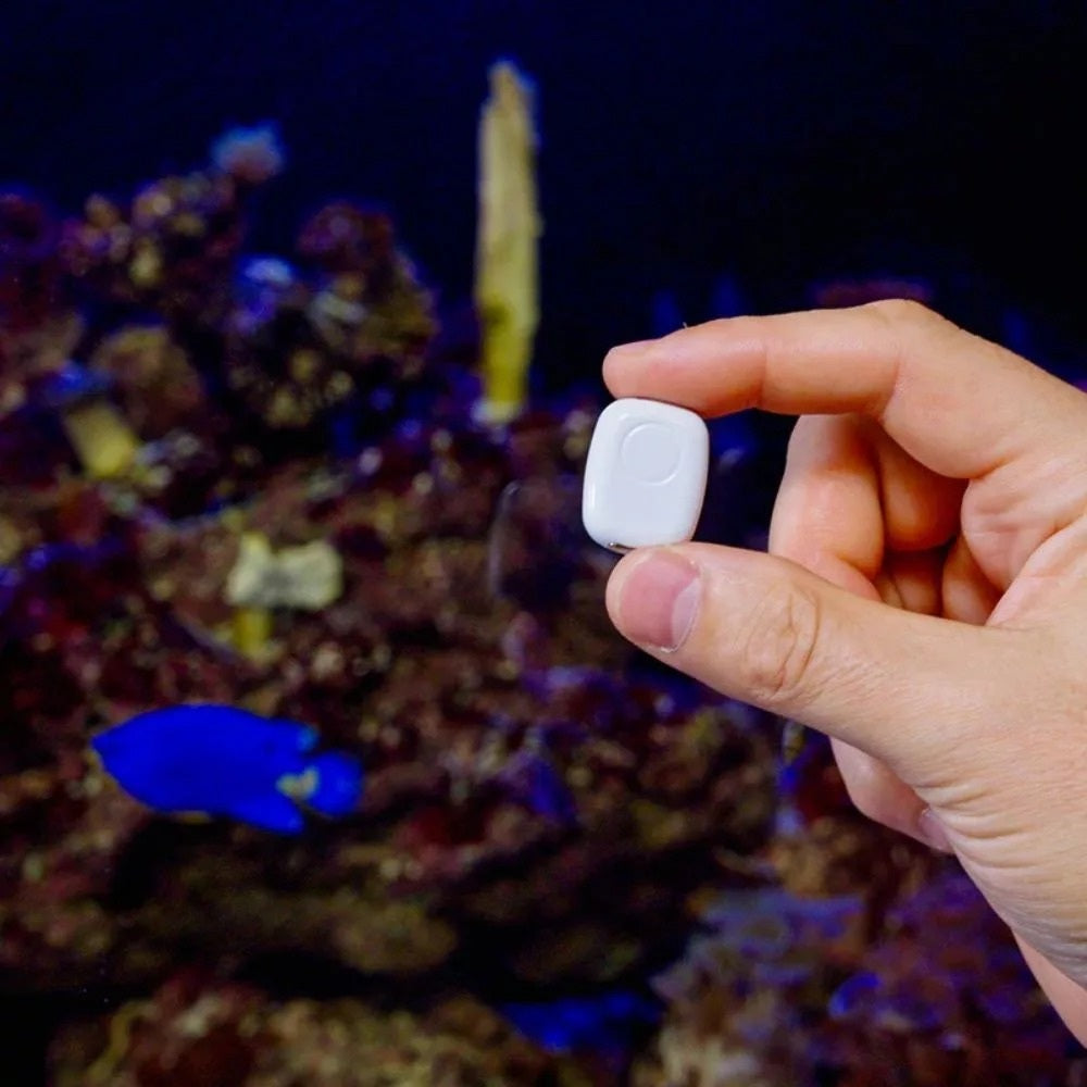 The Pill by Shelly - USB-C WLAN Bluetooth Modul für verschiedenen Sensoren